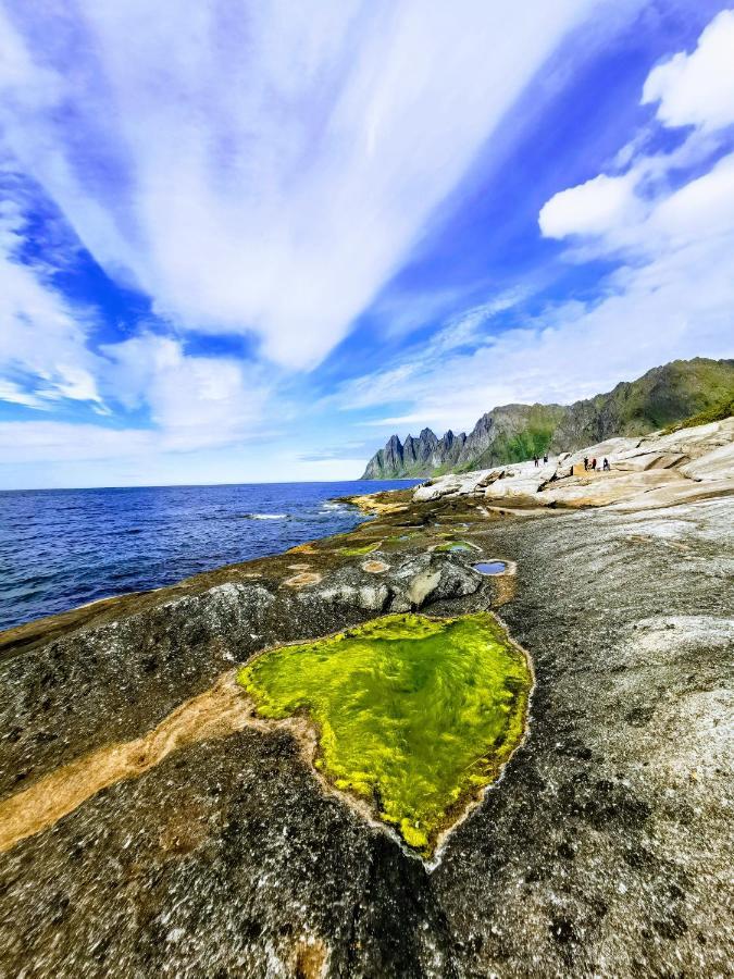 Apartamento Waterfront Senja Torsken Exterior foto