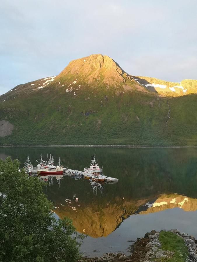 Apartamento Waterfront Senja Torsken Exterior foto