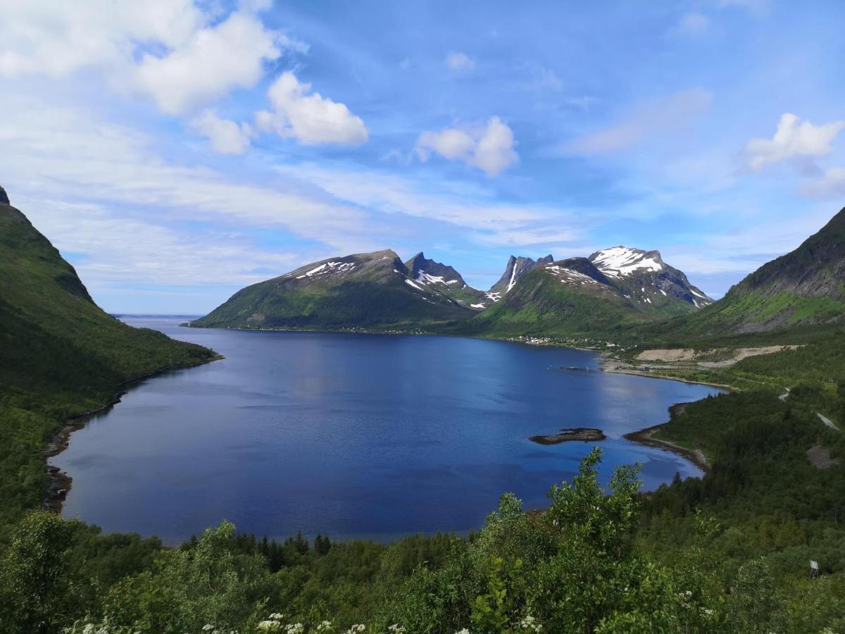 Apartamento Waterfront Senja Torsken Exterior foto